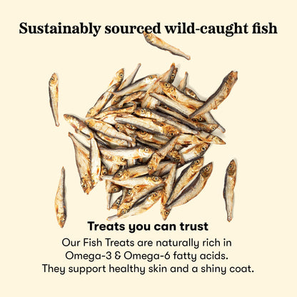 Plato Single Ingredient Wild-Caught Baltic Herring Dog Treats, Air-Dried Whole Fish, Omega-Rich Skin & Coat Support, 8.5 oz