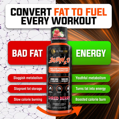ALPHA LION Burn2O L-Carnitine Liquid 2000mg – Stim Free Super Thermogenic Fat Burner with MitoBurn® & CaloriBurn GP®, Metabolism Booster, Zero Calorie, Sugar-Free (31 Servings, Grapezilla Flavor)