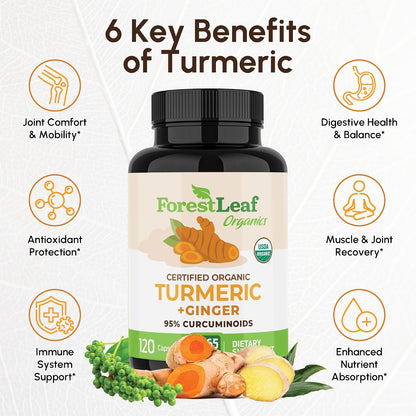 Turmeric Supplement Extra Strength 2265mg - Turmeric Curcumin Supplement w/BioPerine Black Pepper - Tumeric and Ginger Supplements, 95% Curcuminoids, Supports Immune & Joint Health, 120 Caps