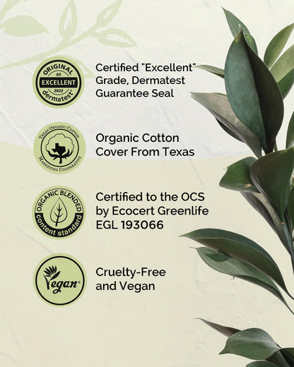 LABON Premium Vegan Organic Sanitary Pads (Regular, 25cm, 32 Counts) - 100% Organic Cotton Cover