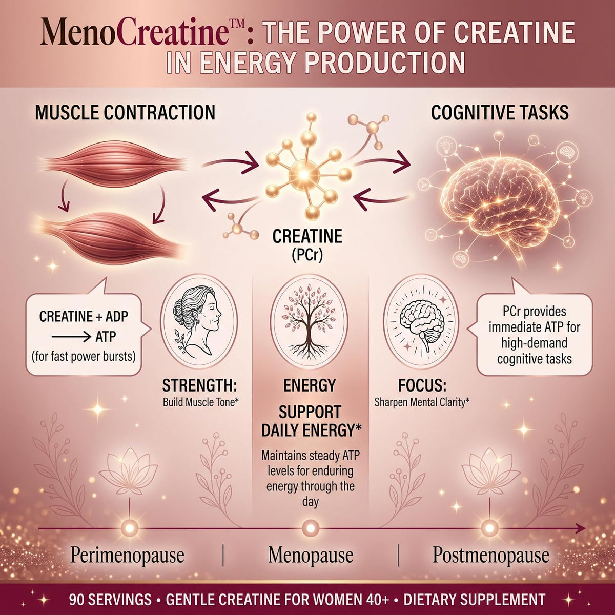 Utzy Naturals MenoCreatine | Creatine for Women 40+ | 90 Servings