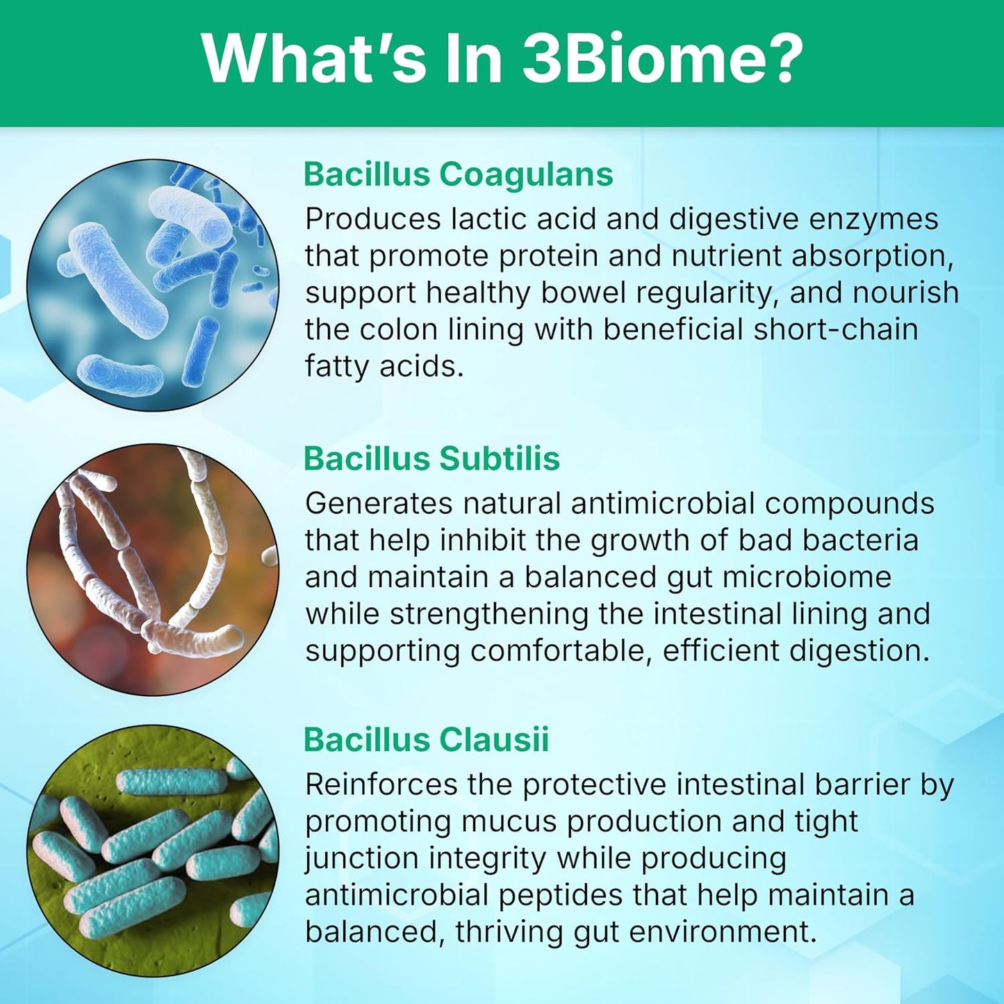 3Biome Natural Probiotic Supplement for Gut Health, Vegan, Gluten-Free | With Smart Probiotics to Improve Digestion and Regularity While Easing Gas, Bloating, and Stomach Discomfort, 30-Day Supply