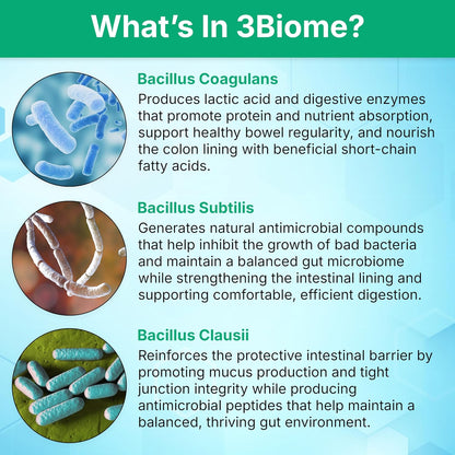 3Biome Natural Probiotic Supplement for Gut Health, Vegan, Gluten-Free | With Smart Probiotics to Improve Digestion and Regularity While Easing Gas, Bloating, and Stomach Discomfort, 30-Day Supply