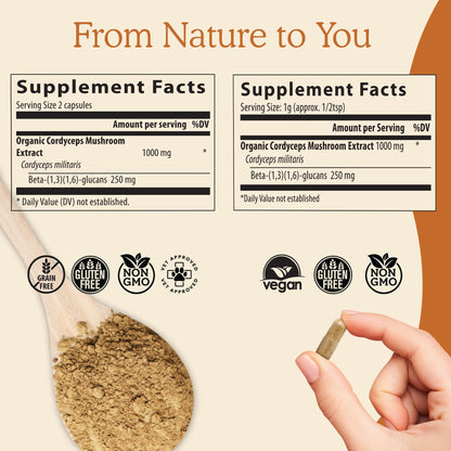 Real Mushrooms Cordyceps Capsules - Performance Mushroom Extract Supplement