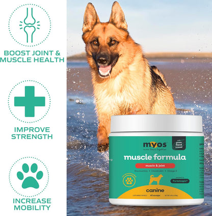 MYOS Muscle & Joint Dog Supplement with Fortetropin and Green Lipped Mussel - Dog Hip and Joint Supplement for Strength and Mobility - Glucosamine and Omega 3 for Dogs - 198g