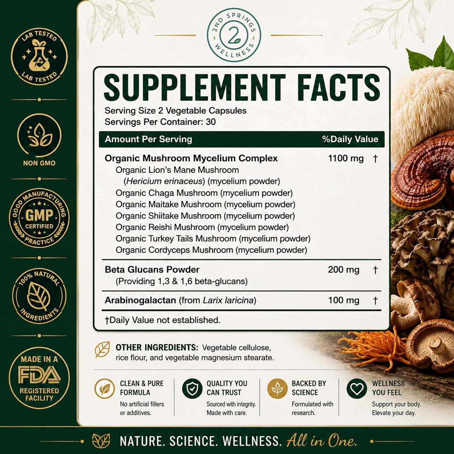 7 Organic Mushroom Complex - 7 Mushroom Supplement | Immune Support Nootropic & Adaptogenic, Lion's Mane, Chaga, Maitake, Shiitake, Reishi, Turkey Tails, Cordyceps, Capsules