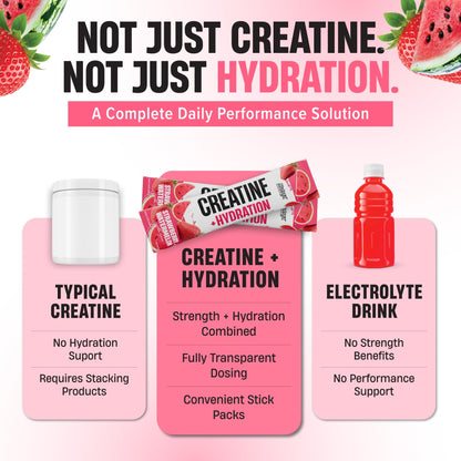 Nutrex Research Essentials Creatine + Hydration Stick Packs, 5g Creatine + Electrolytes, Sugar Free, Gluten Free, Strawberry Watermelon, 15 On-The-Go Stick Packs