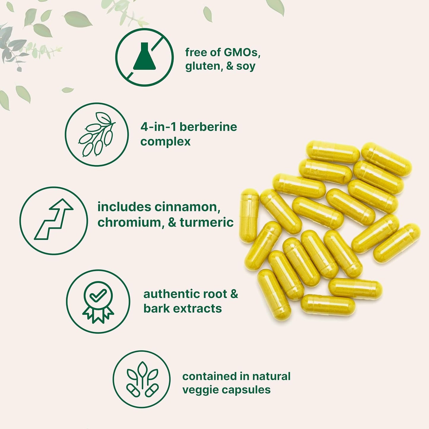 Micro Ingredients Berberine with Ceylon Cinnamon, 240 Veggie Capsules | High Absorption Berberine HCI Supplement + Turmeric Root & Cinnamon Bark Extract | Non-GMO, Gluten Free