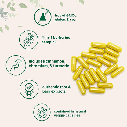 Micro Ingredients Berberine with Ceylon Cinnamon, 240 Veggie Capsules | High Absorption Berberine HCI Supplement + Turmeric Root & Cinnamon Bark Extract | Non-GMO, Gluten Free