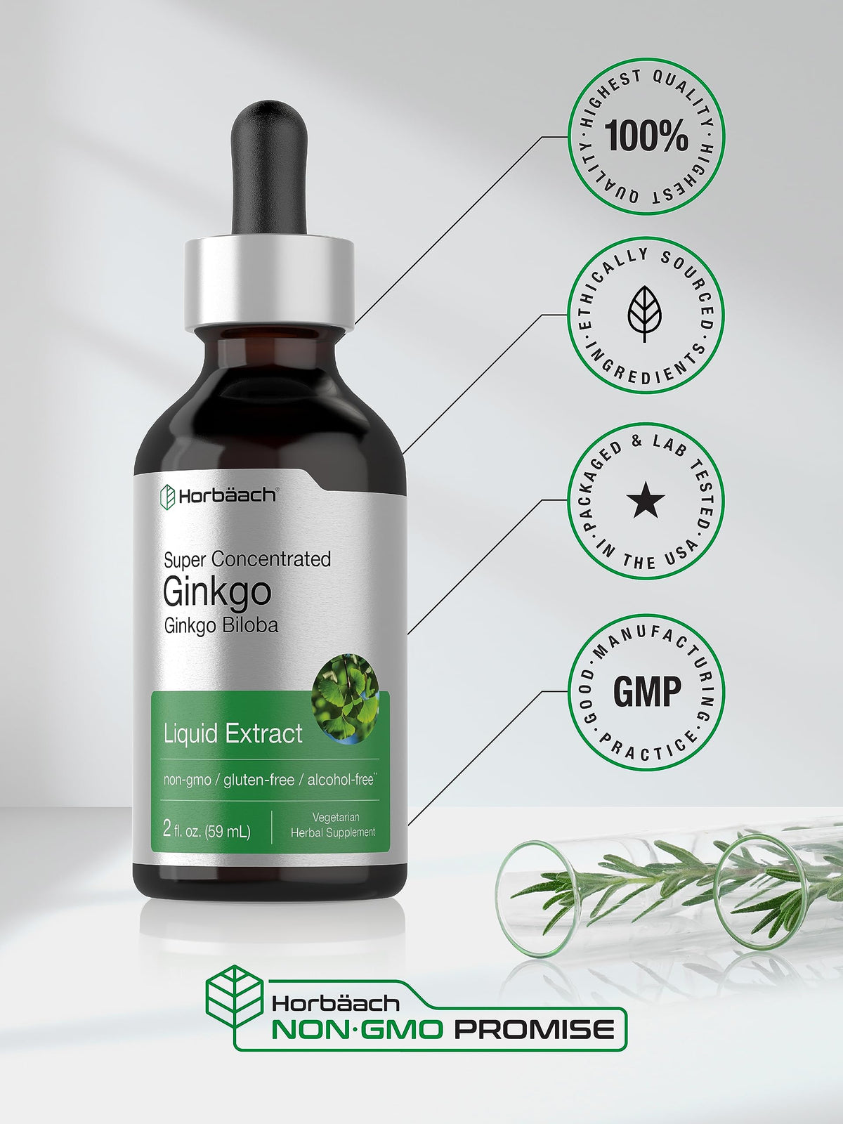 Ginkgo Biloba Extract Liquid 2 fl oz | Alcohol-Free Herb Supplement | Vegetarian