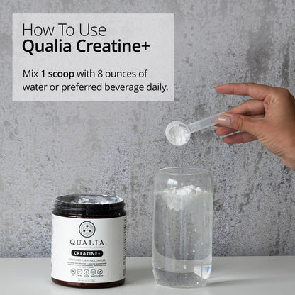 Qualia Creatine | Advanced Creatine Complex | 2 Sources + Magnesium | Optimized Absorption | Muscle Performance, Brain Function, & Healthy Aging (30 Servings)