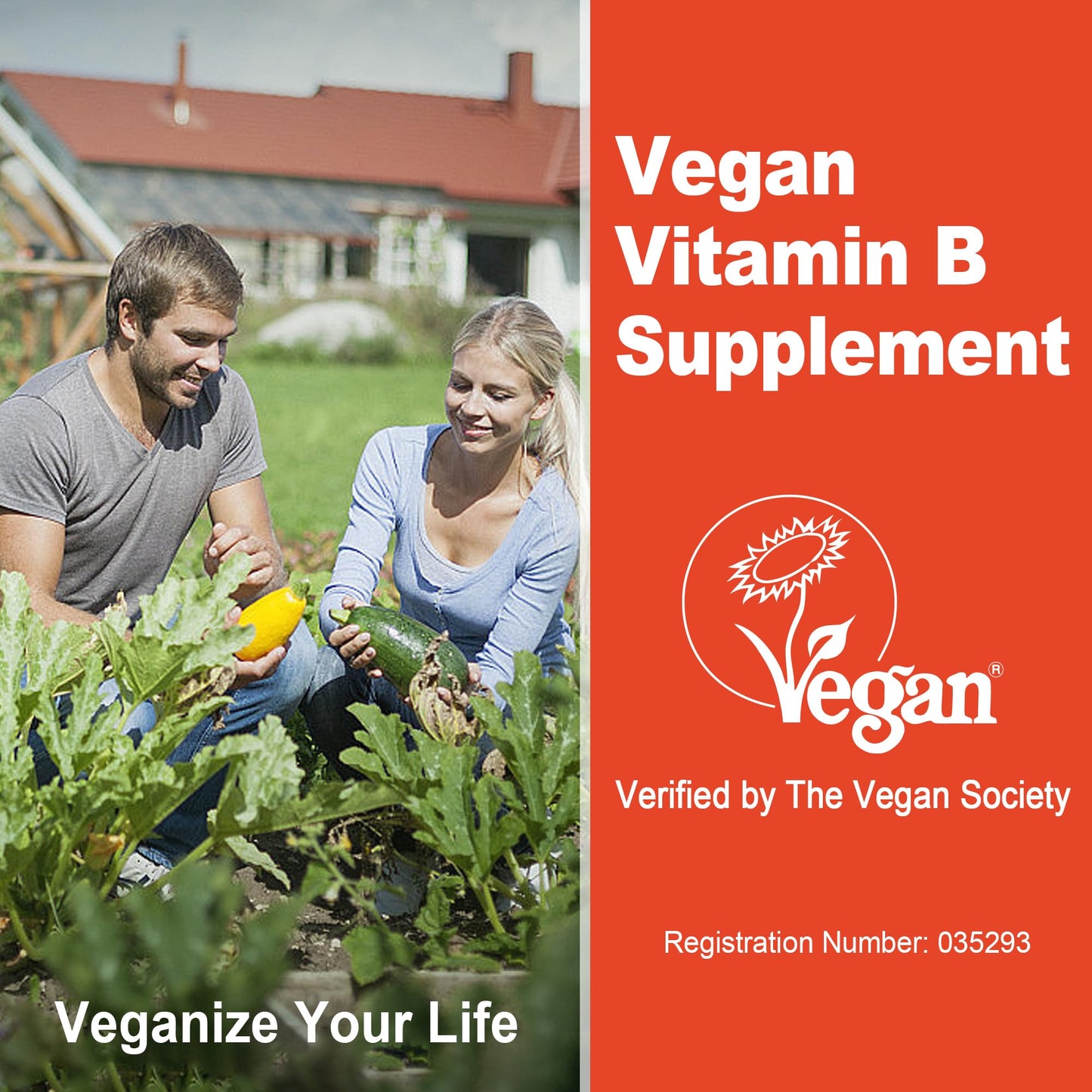Super Methylated Vitamin B Complex Gummies - All B Vitamins + Omega-3, Magnesium, CoQ10, Ashwagandha,Vitamin C, TMG- For Women Men- Methyl B12 2000 mcg, Methylfolate, B1,B2, B3,B5,B6,B7- Sugar Free
