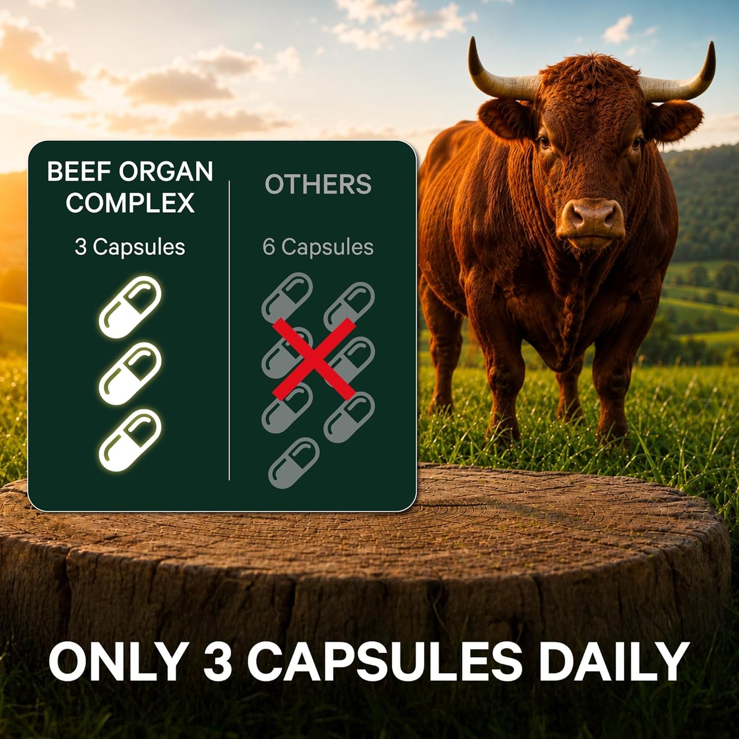 Pink Stork Men's Beef Organ Complex, Bioavailable Superfoods, 30 Servings | Grass-Fed, Grass-Finished Beef Liver, Testicle, Prostate + Bone Marrow | Supports Energy, Vitality + Men's Health