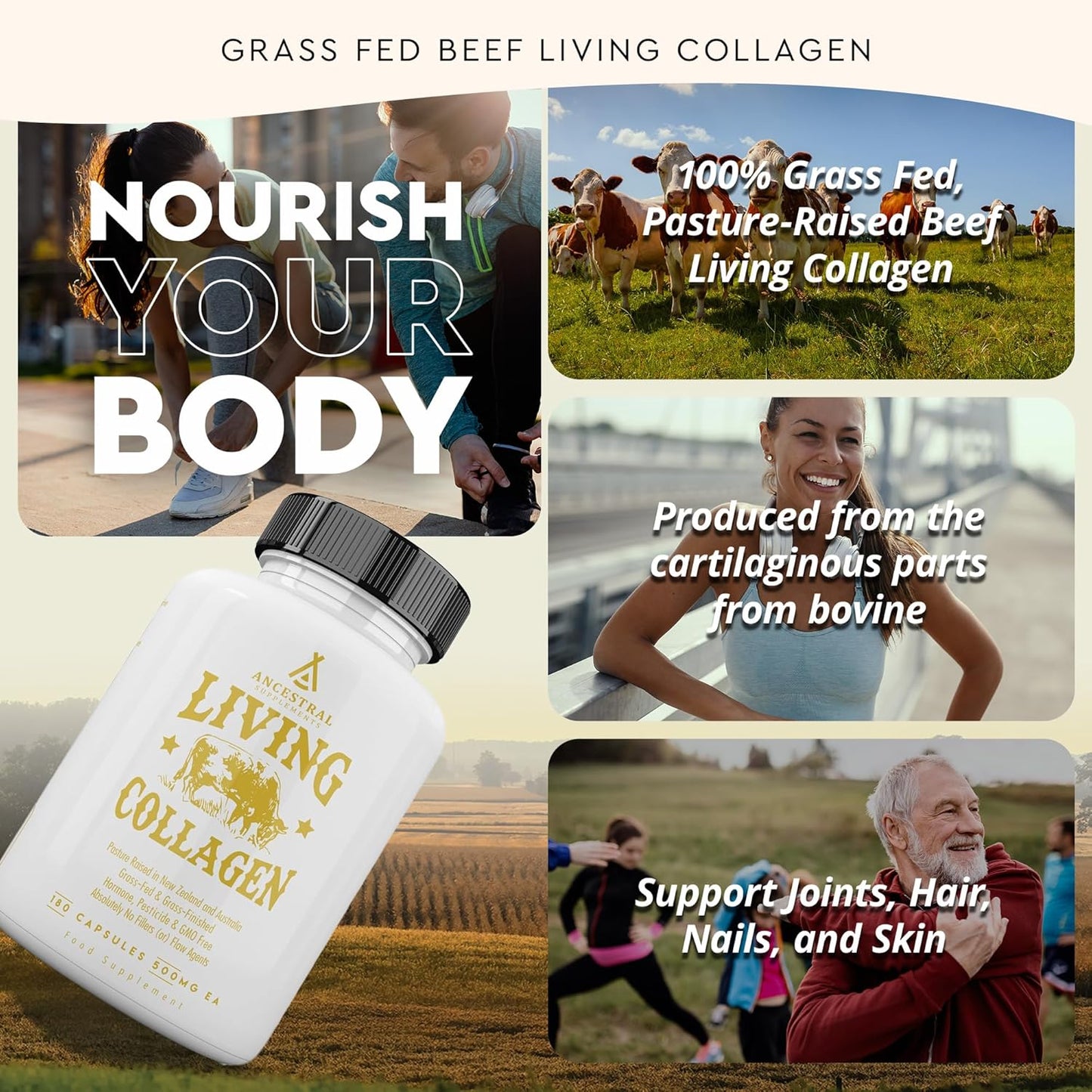 Ancestral Supplements Grass Fed Beef Living Collagen Capsules, 180 Ct | Type II collagen peptides complex in convenient capsules supports healthier, younger-looking skin, hair, nails & joints.