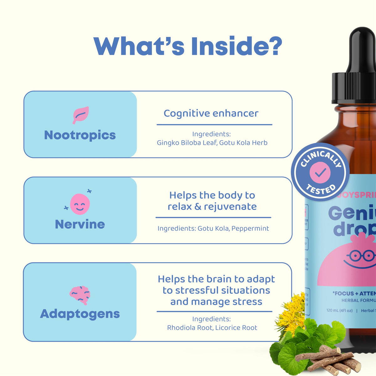 JoySpring Genius Drops Brain Supplement for Kids - Kids Attention Supplements Support