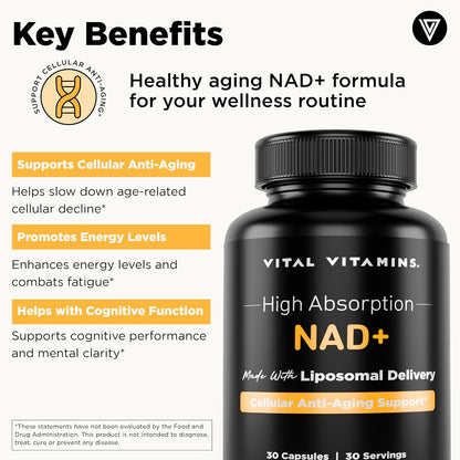 Vital Vitamins NAD+ Supplement, 500mg Liposomal for Better Absorption | Supports Cellular Energy, Brain Health and Healthy Aging, Vegan, 30-Day Supply