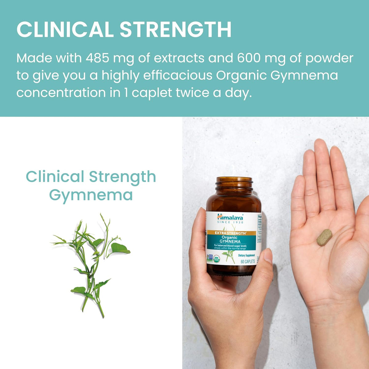 Himalaya Extra Strength USDA Organic Gymnema Sylvestre Extract, 1085 mg, 60