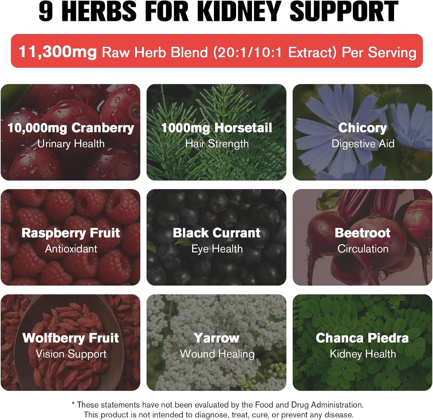 Kidney and Liver Cleanse Detox & Repair Drops, Cranberry and Milk Thistle Supplement with Artichoke, Astragalus, Horsetail – Natural Herbal for Liver, Kidney, Urinary Tract, Bladder, 60ml