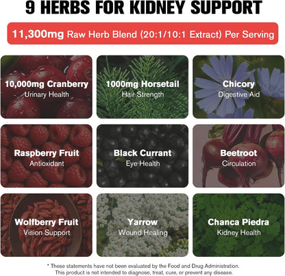 Kidney and Liver Cleanse Detox & Repair Drops, Cranberry and Milk Thistle Supplement with Artichoke, Astragalus, Horsetail – Natural Herbal for Liver, Kidney, Urinary Tract, Bladder, 60ml