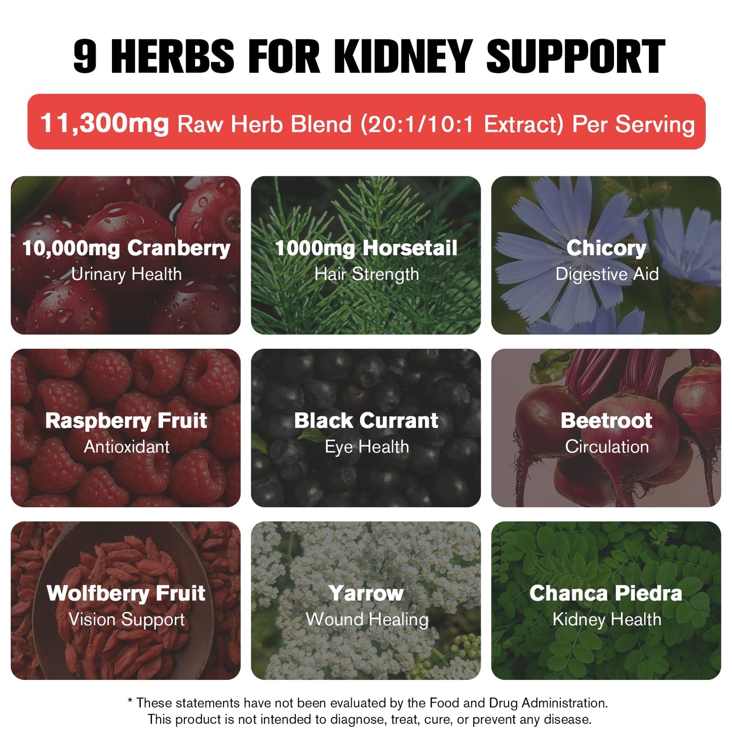Kidney and Liver Cleanse Detox & Repair Drops, Cranberry and Milk Thistle Supplement with Artichoke, Astragalus, Horsetail – Natural Herbal for Liver, Kidney, Urinary Tract, Bladder, 60ml
