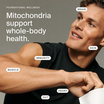 Timeline Mitopure Urolithin A Supplement Softgels - Clinically Proven Support for Healthy Aging and Cellular Renewal - Mitoceutical for Muscle Support and Longevity