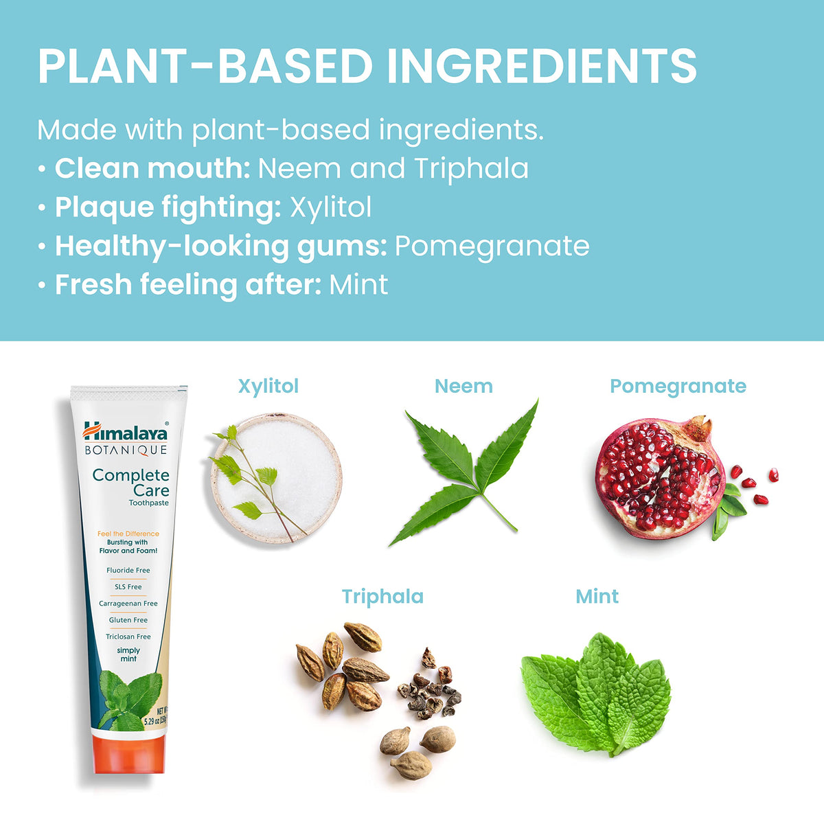 Himalaya Botanique Complete Care Toothpaste, Herbal Variety 4 Pack, 5.29 oz