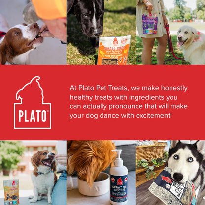 Plato Pet Treats Thinkers - Meat Stick Treats for Dogs - Limited Ingredient with EPA and DHA to Support Skin, Coat, and Brain - Air-Dried - Thinkers Salmon 10oz - 2 Pack