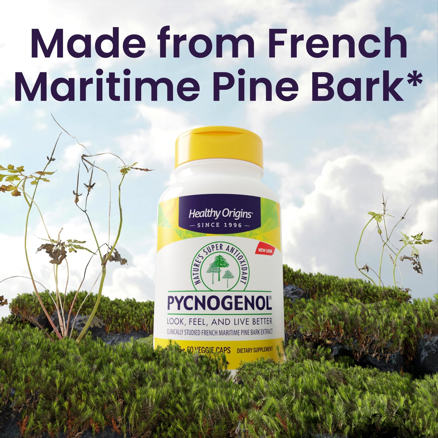 Healthy Origins Pycnogenol Pine Bark 100 mg, 60 Veggie Caps