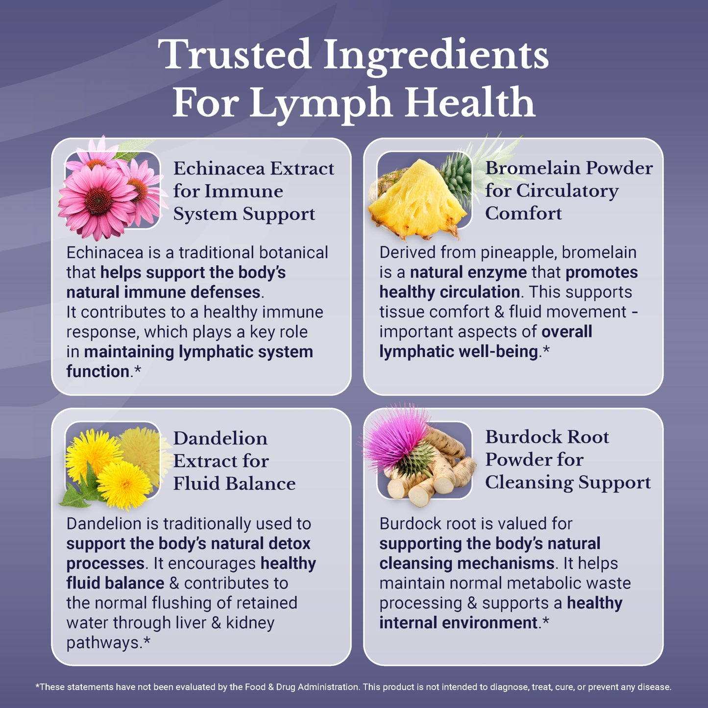 Lymph MD | Lymphatic Drainage Supplement | Lymph Support | Lymph System Support with Bromelain, Echinacea, Burdock Root, Dandelion, Rutin, Kelp. 30 Days Supply. 60 Capsules