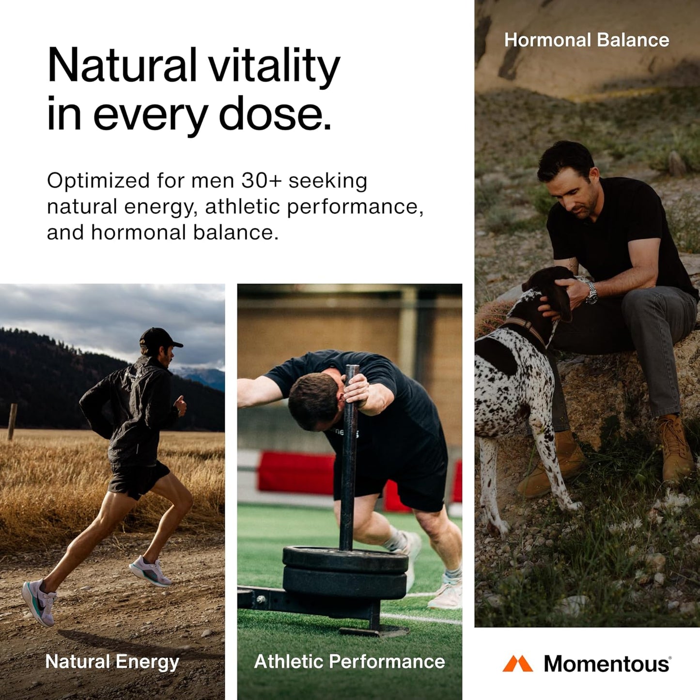 Momentous Male Hormone Support Stack - Natural Wellness & Performance Supplement to Support Joint Health, Hormone Balance & Lean Muscle Mass (Tongkat Ali, 30 Servings - Zinc Picolinate, 60 Servings)