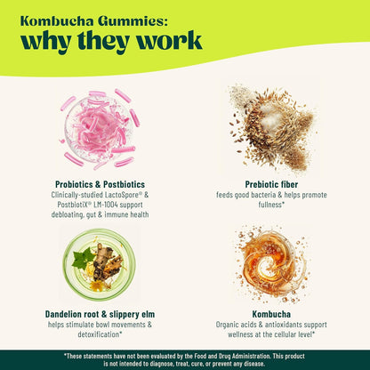 BoochBod - Probiotic Kombucha Gummy - Prebiotics, Probiotics, Postbiotics, Fiber Supplement, Slippery Elm, Dandelion Root, for Bloating, Gut Health - for Women and Men - 4X Bundle & Save