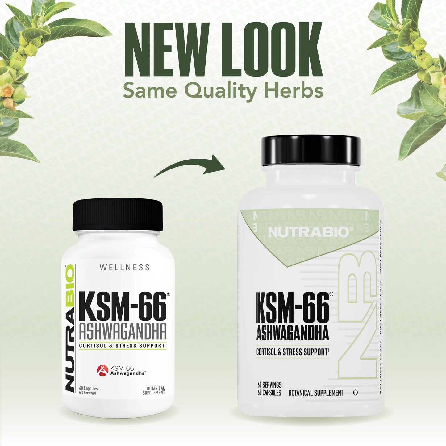 NutraBio Ashwagandha KSM-66 | Ashwagandha Herbal Supplement for Stress, Mood, & Performance | 600 MG of Clinically Studied KSM66 60 Capsules