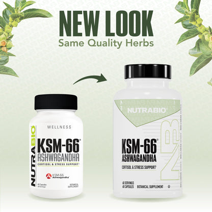 NutraBio Ashwagandha KSM-66 | Ashwagandha Herbal Supplement for Stress, Mood, & Performance | 600 MG of Clinically Studied KSM66 60 Capsules