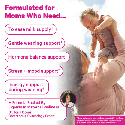 Pink Stork No Flow Organic Sage Tea, Floral Mint Flavor, 15 Sachets | Dry Up Breast Milk Supply, Ease Milk Production, Wean Lactation Naturally, Hot or Iced, Postpartum Essentials