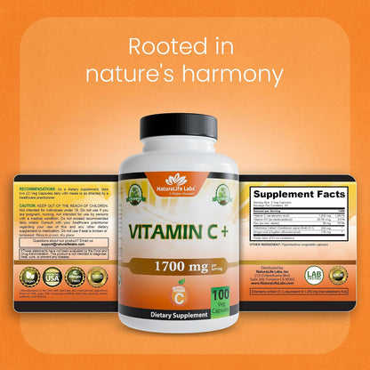 NaturaLife Labs Vitamin C with Vitamin D3, Zinc, Elderberry & Ginger Root – 1,700 mg per Serving – 100 Capsules, Vegan, Non-GMO, Gluten Free