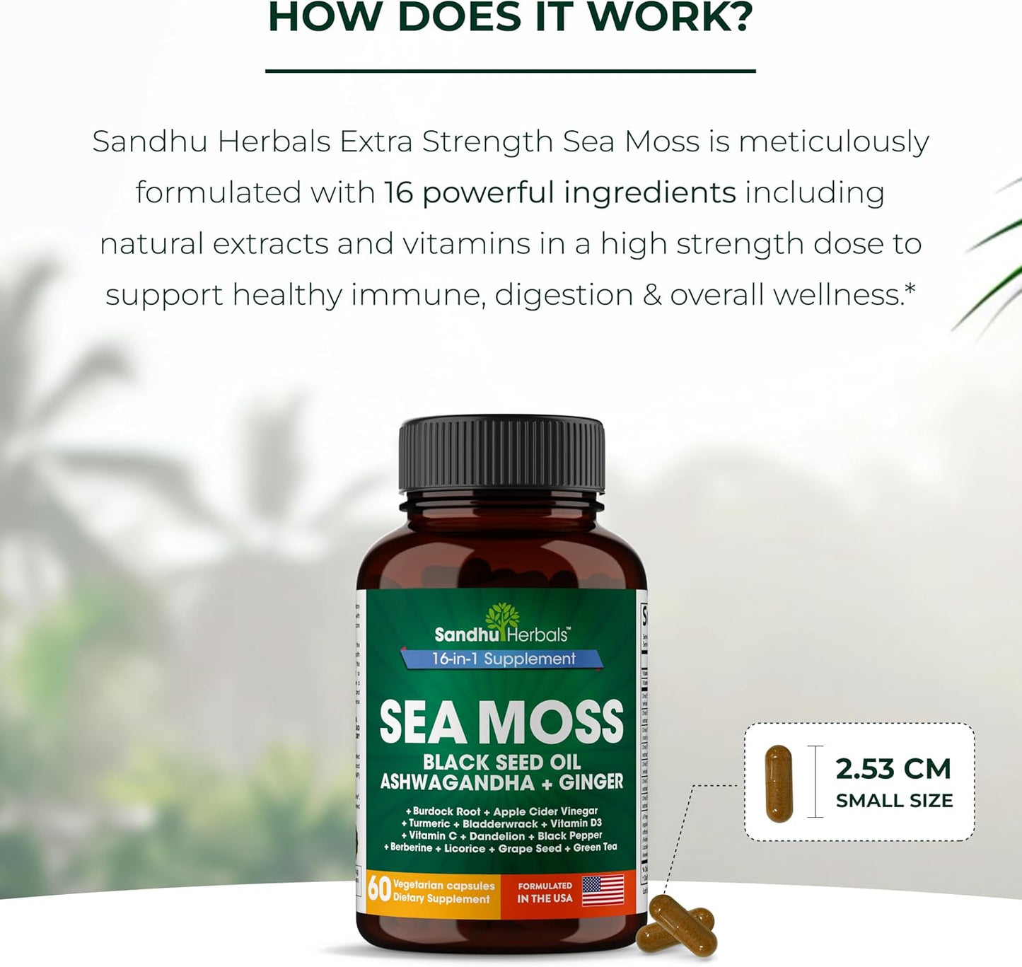 Sea Moss Capsules with Black Seed Oil Ashwagandha Ginger Burdock Root | Advanced Seamoss 60 Count | All Men Women Age