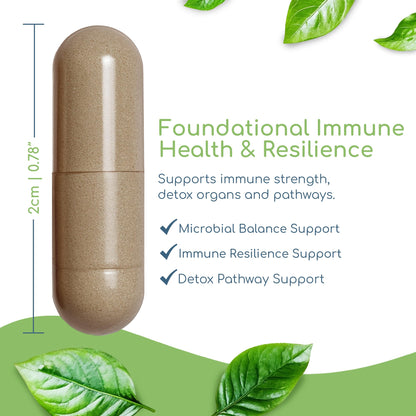 Cryptolepis Synergy, Immune Support Vitamins, Immune System Booster for Adults, Liver, Lymphatic, & Immune Support Supplement, Supports Lyme & Natural Parasite Defense, 120 Capsules