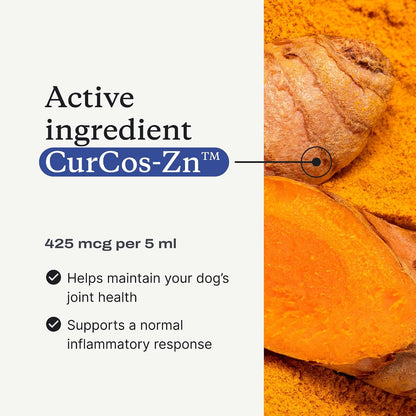 PetLab Co. Mobility Pro Oil for Dogs, Curcumin Joint Oil | Curcumin and zinc liquid formula, pumped onto food daily, to support joint flexibility