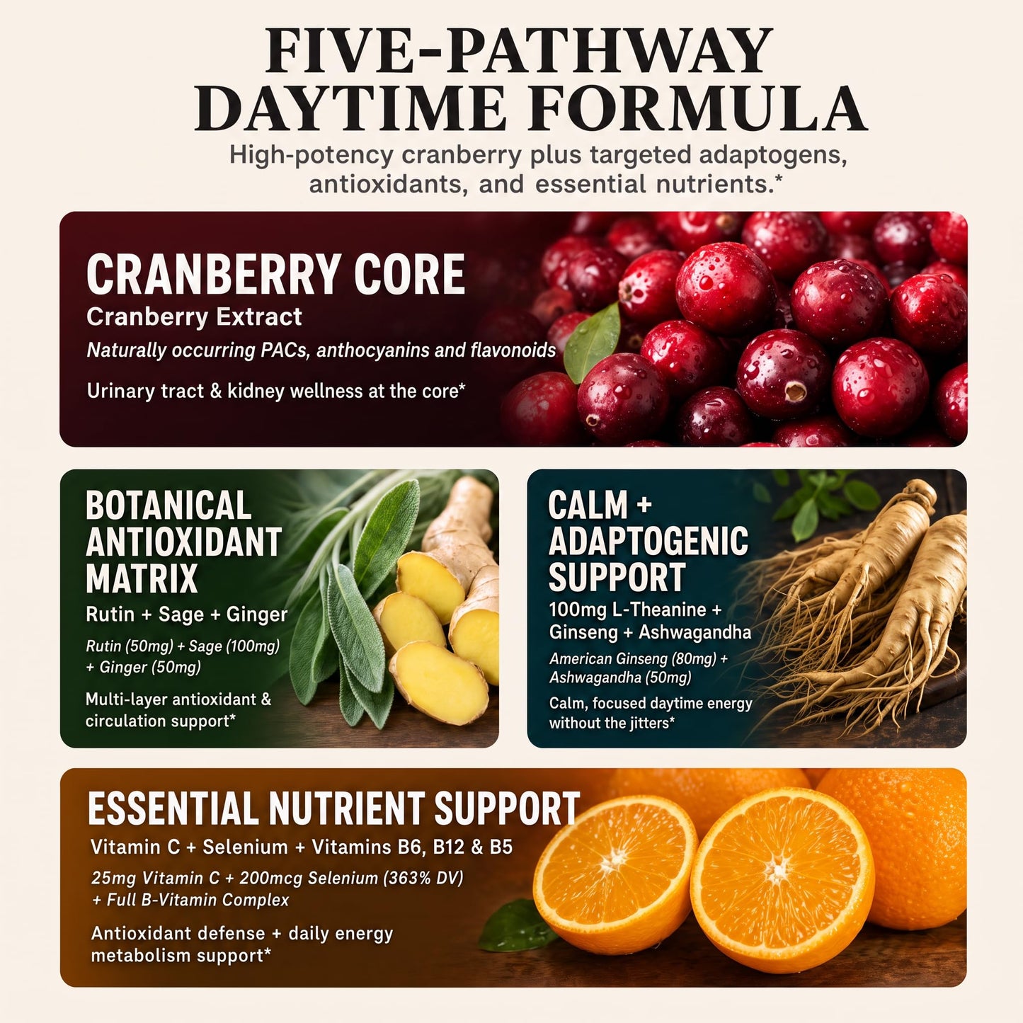 2 Pack Cranberry Gummies -Urinary Tract Health and Kidney Cleanse | High Absorption Formula with Ashwagandha, Selenium 363% DV, Ginseng&VB for Daily Antioxidant &Vitality Support-120 Gummies
