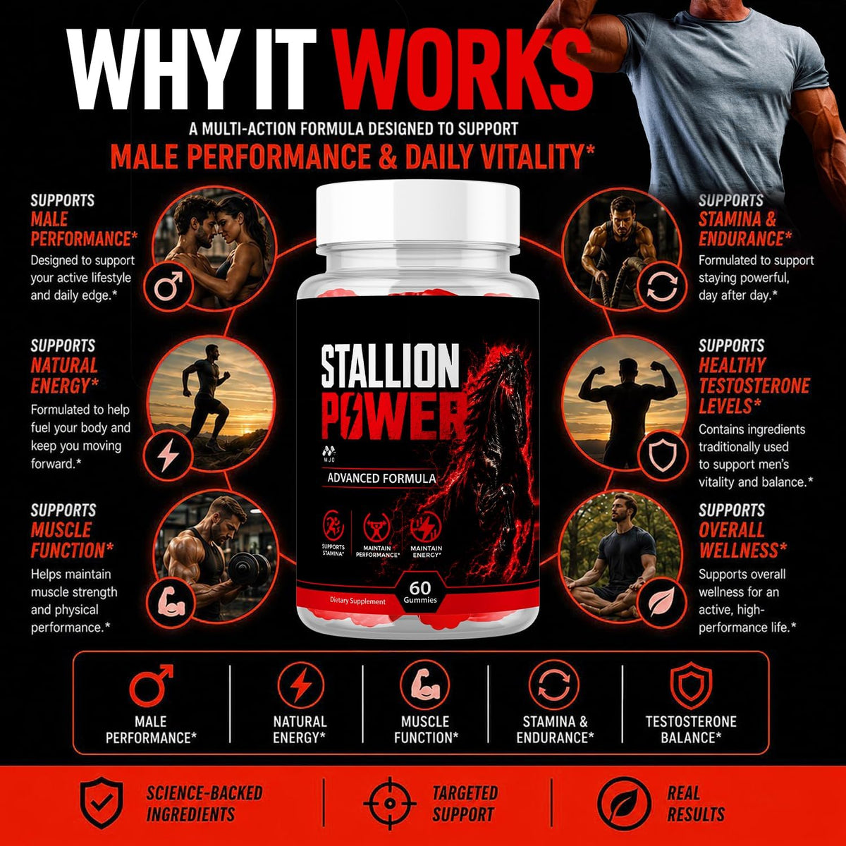Stallion Power Gummies for Men, Male Support Supplement 5-Pack, 300 Gummies