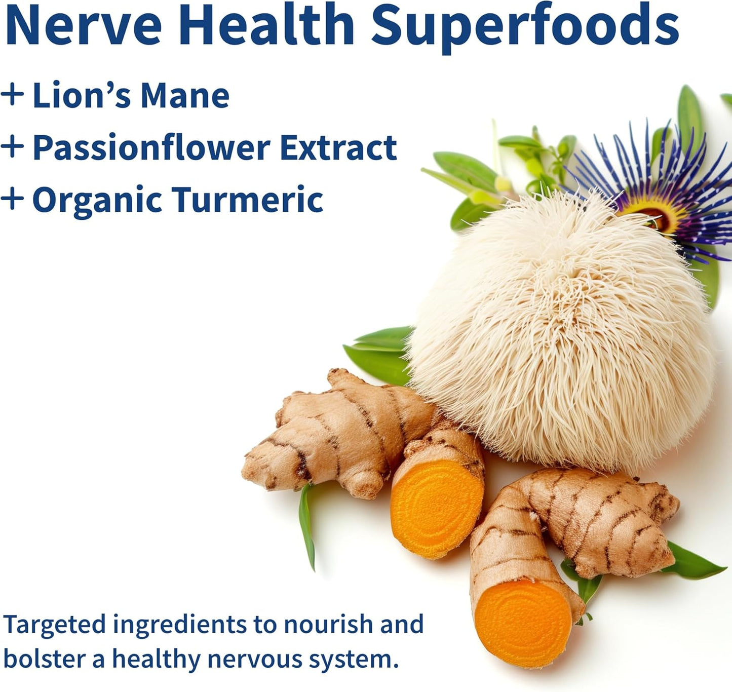Snap Supplements Nerve Health Support with Lion's Mane, 60 Vegan Capsules | Organic Turmeric Neuropathy Supplement, Supports Mental Clarity, Focus & Healthy Nerve Function, Gluten-Free, Non-GMO