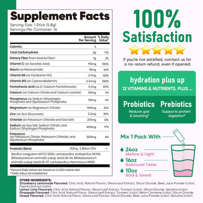 Venture Pal Sugar Free Hydration Packets + Gut Health Electrolytes Powder | Liquid Daily IV with 7 Electrolytes, 5 Vitamins, Probiotics & Fiber for Dehydration Relief and Gut Health Support