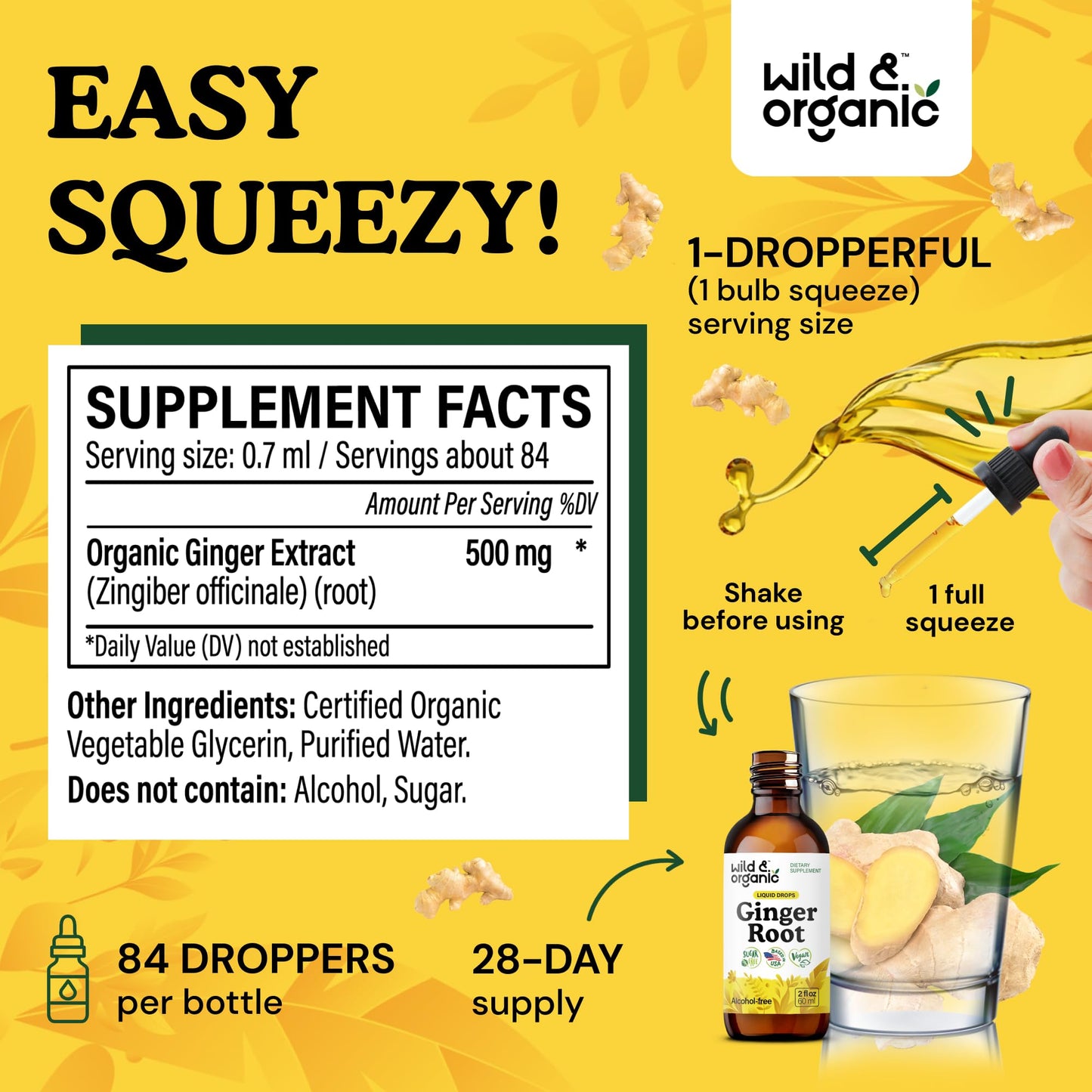 Wild & Organic Ginger Root Extract Drops - Immune & Digestive Support - Liquid Ginger Supplements - Easy to Add to Tea - Vegan, Sugar & Alcohol-Free Tincture - 4 fl oz