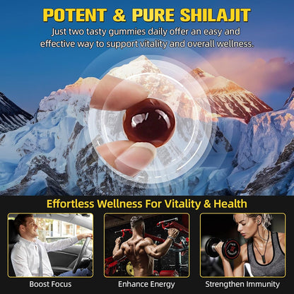 Shilajit Gummies for Men & Women, 2 Pack Natural Himalayan Shilajit Gold Gummies, Rich in 85+ Trace Minerals, Energy Boost & Immune Support, Boost Your Vitality Health