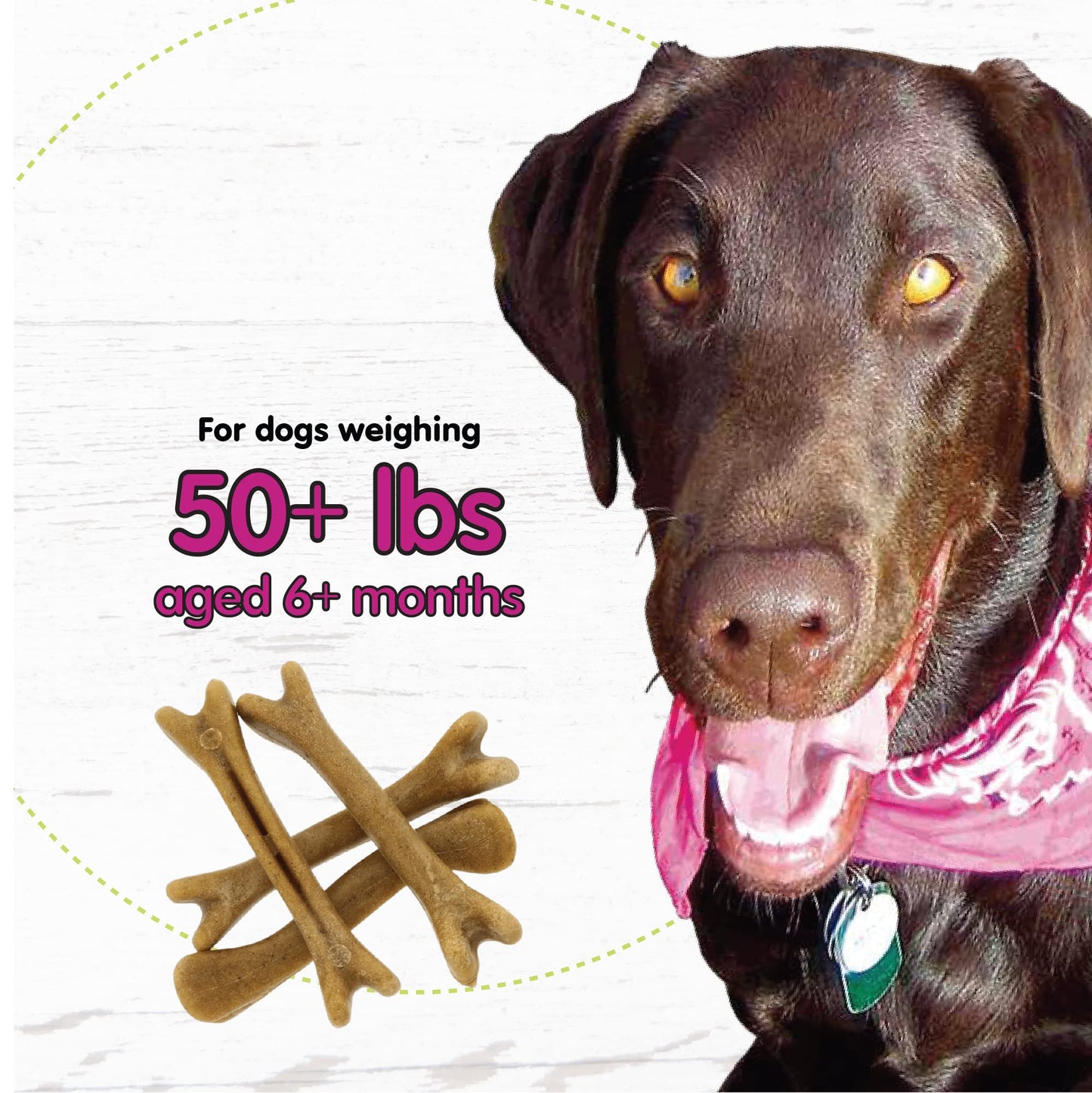 Fido Belly Bones for Dogs, Mini - 21 Count - Yogurt-Flavor Dental Treats for Small Dogs - Plaque & Tartar Control for Fresh Breath - Digestive Support - Made in USA