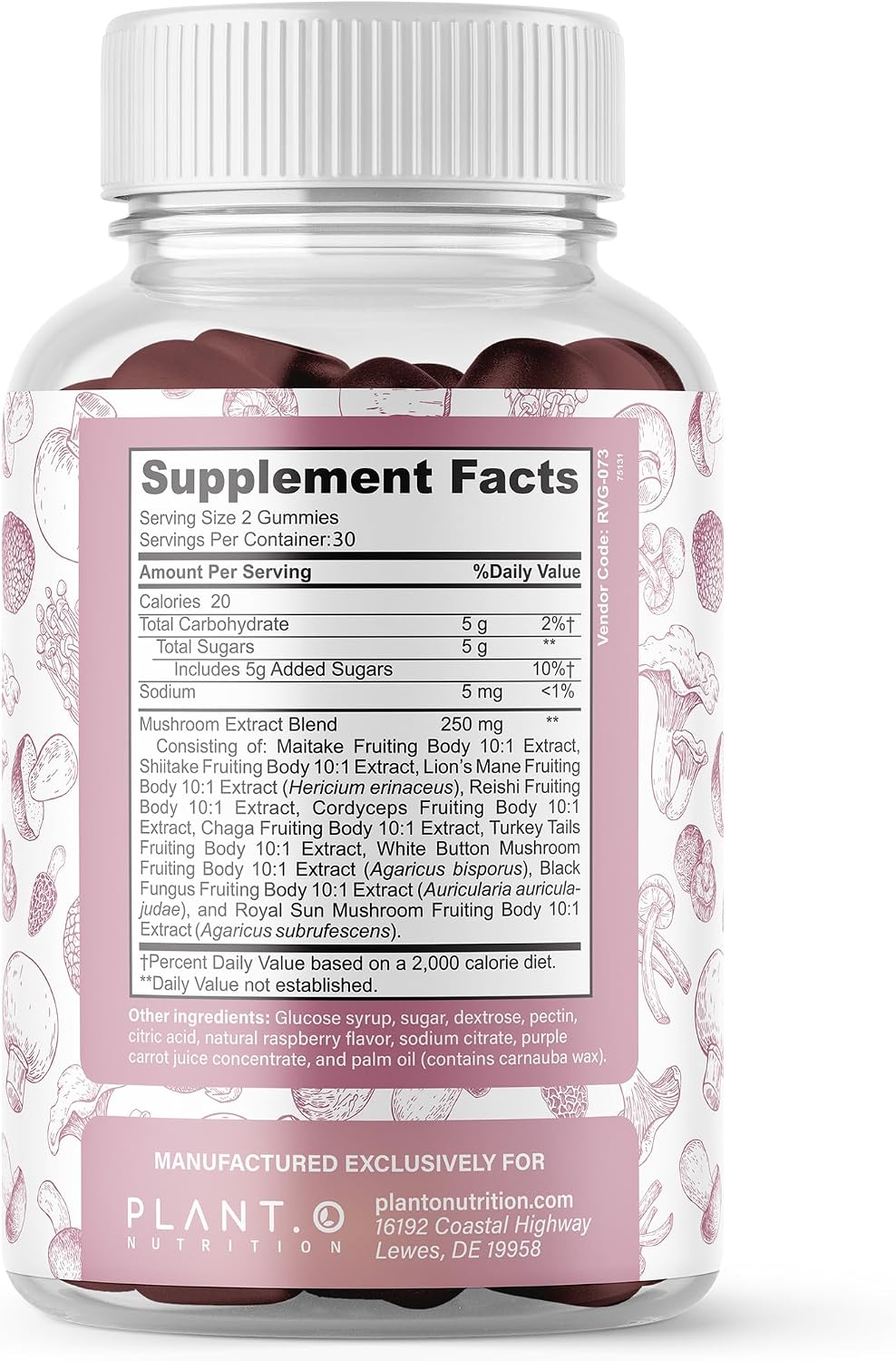 Mushroom Gummies Premium Supplement [10 Mushroom Complex Extract] Delicious & Fast Acting Lion’s Mane, Reishi, Shiitake Nootropic Brain Support, Immune Support, Mood & Relaxation, 60 Chews