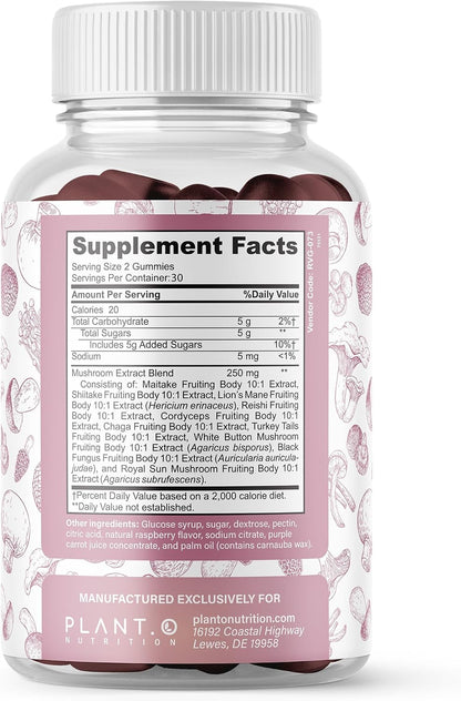 Mushroom Gummies Premium Supplement [10 Mushroom Complex Extract] Delicious & Fast Acting Lion’s Mane, Reishi, Shiitake Nootropic Brain Support, Immune Support, Mood & Relaxation, 60 Chews