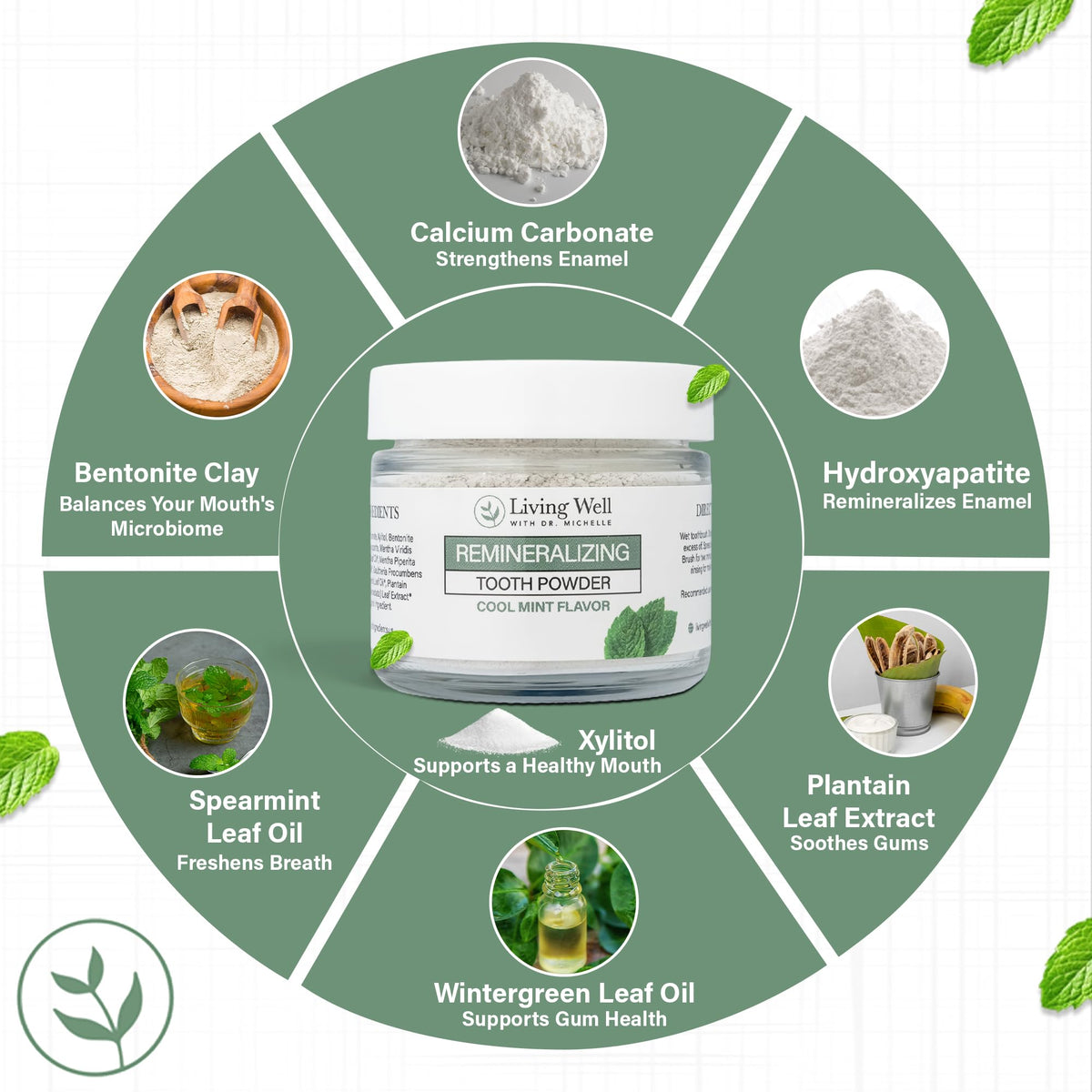 Living Well Dr. Michelle Remineralizing & Whitening Tooth Powder, Cool Mint