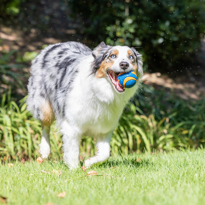 Chuckit! Ultra Ball Dog Toy - Medium Bouncy Fetch Balls For Dogs 20-60 lbs - Made from Durable Rubber - Floating Water Pet Toys - Size Medium - 2.5-inch Diameter - Pack of 2 | Bouncy durable rubber design for pups 20-60 lbs, high bounce action for active
