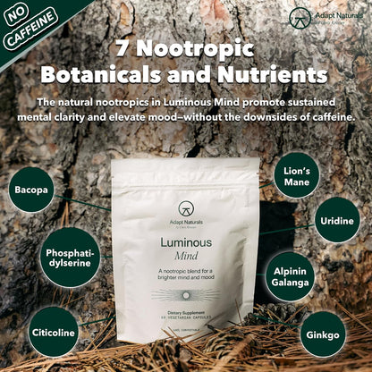 Adapt Naturals Brain & Body Wellness Bundle – Bio-Avail Omega+ Fish Oil & Luminous Mind Nootropic Supplement – 30-Day Supply
